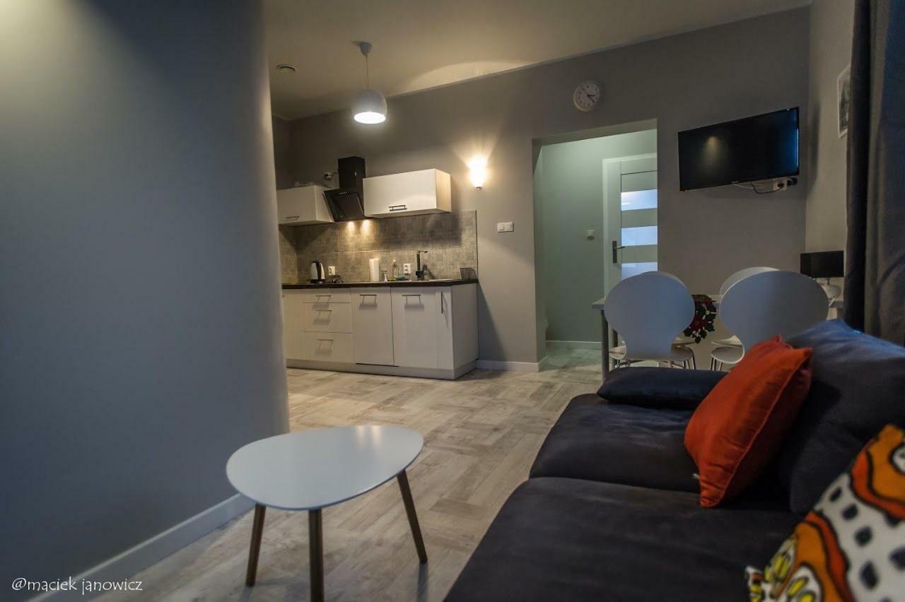 Apart-Invest Apartament Wiwi 2 Шклярська Поремба Екстер'єр фото